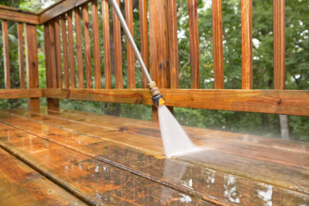 Animal Enclosure Cleaning in Salem, NJ